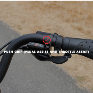 E-bike with push grip and throttle assist